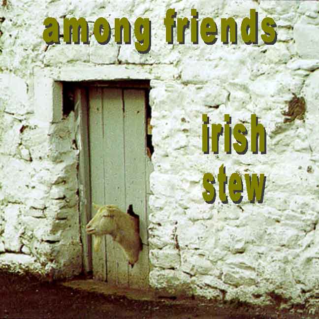 »among friends – irish stew«
